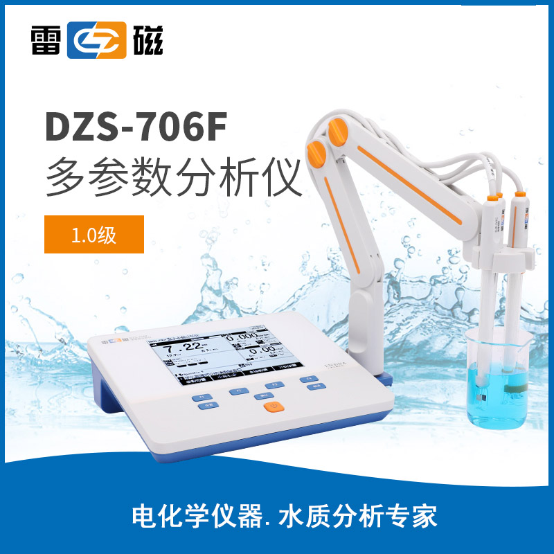 DZS-706F 型多参数分析仪